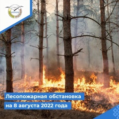 ������������ ���������� �� 8 ������� 2022 ����